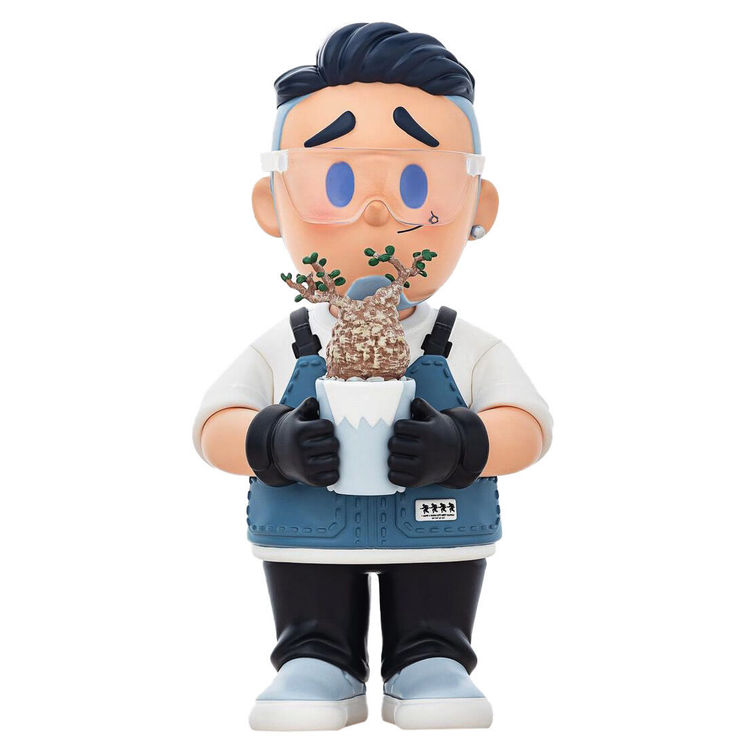 Forerunner Operculicarya Pachypus by Forerunner