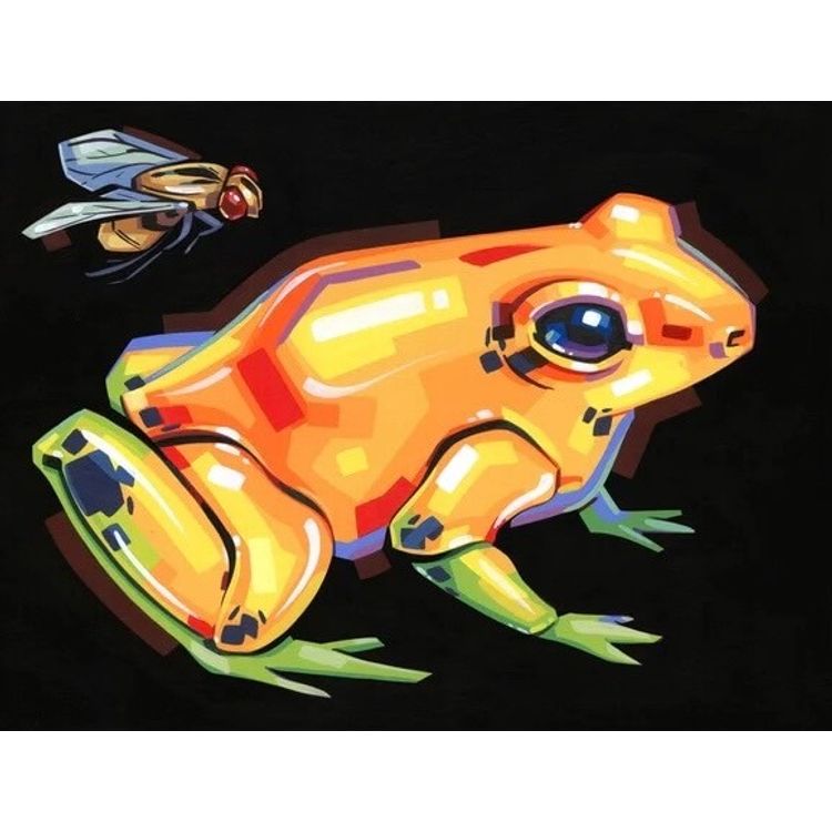Frog and Fly by The Obanoth (Hannah Webb)