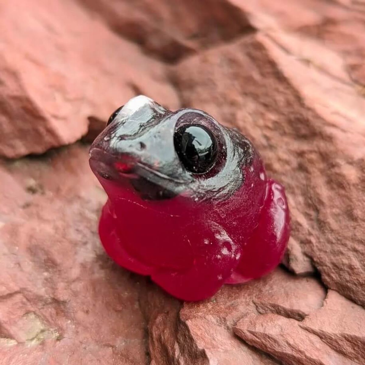 Garnet Tog