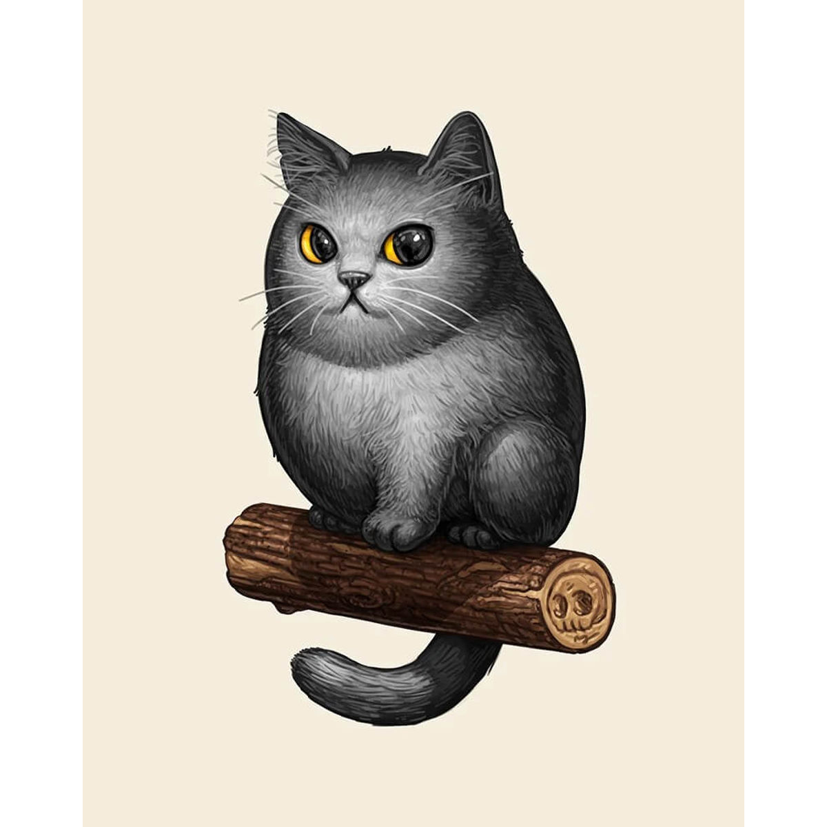 Gatito Gordito I - Chartreux