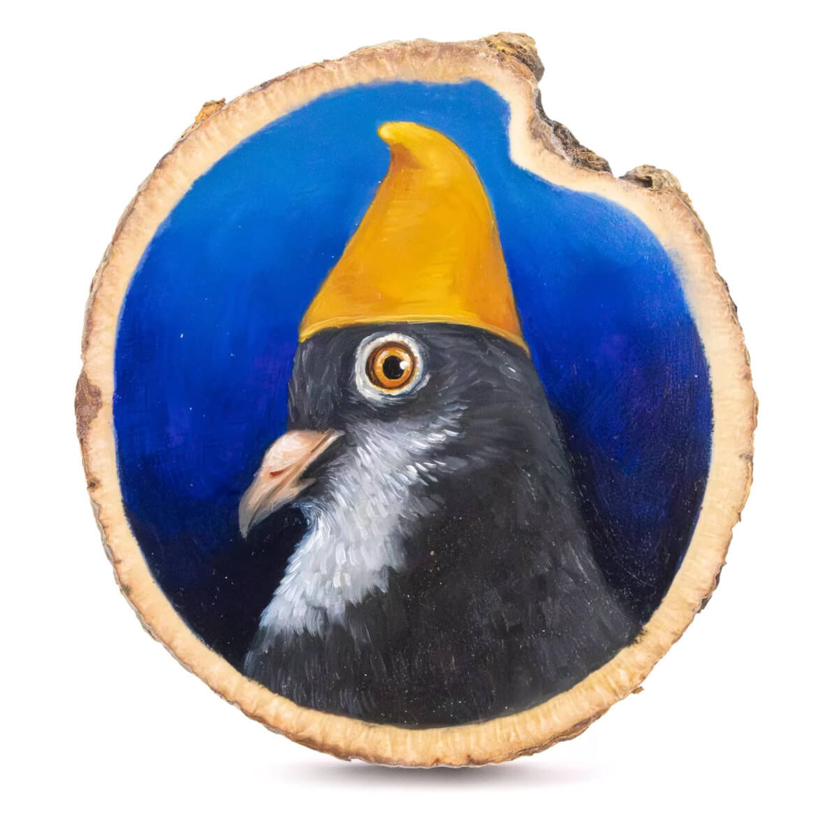 Gnome Pigeon