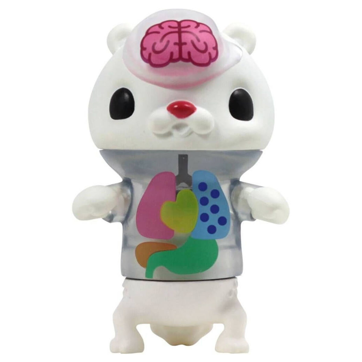 Hey KumaT Anatomy Capsule Mini