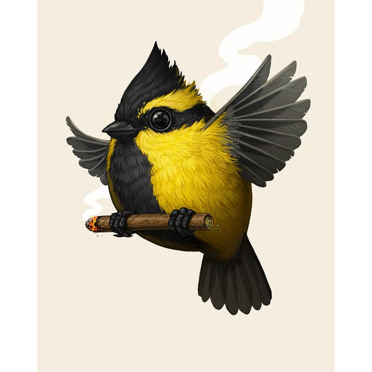 Himalayan Black-Lored Tit (Companion) Blunt Variant by Mike Mitchell
