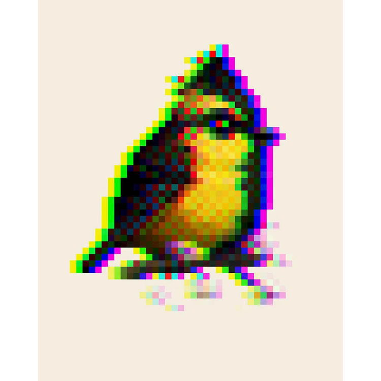 Himalayan Black-Lored Tit (Mystery 16-Bit) by Mike Mitchell