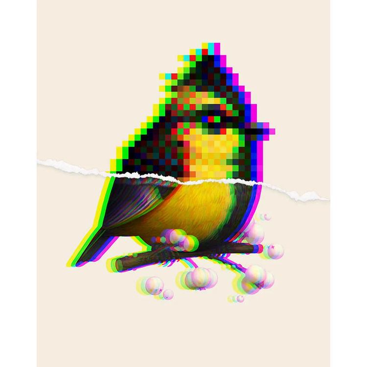 Himalayan Black-Lored Tit (Mystery 16-Bit) by Mike Mitchell