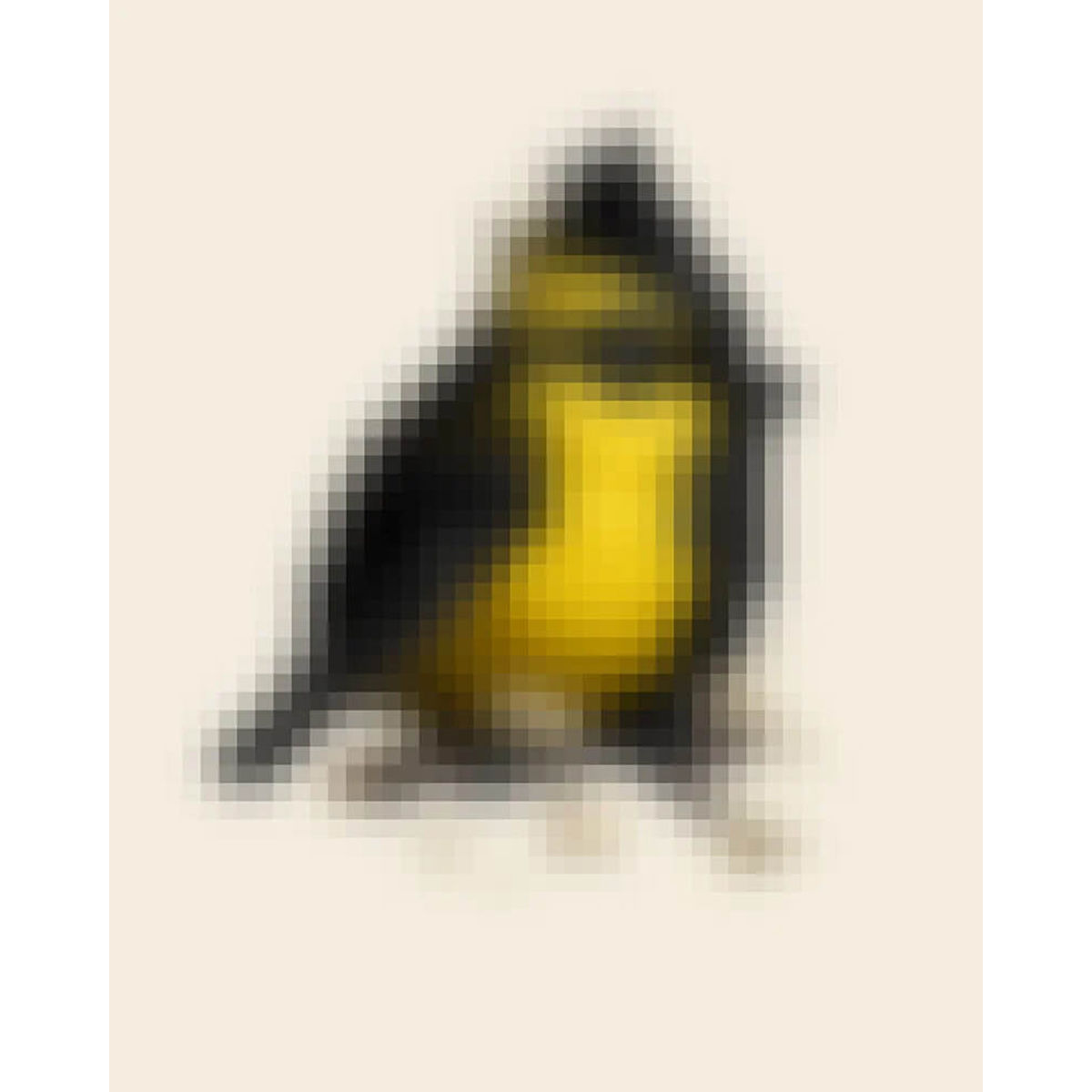 Himalayan Black-Lored Tit (Mystery 16-Bit)