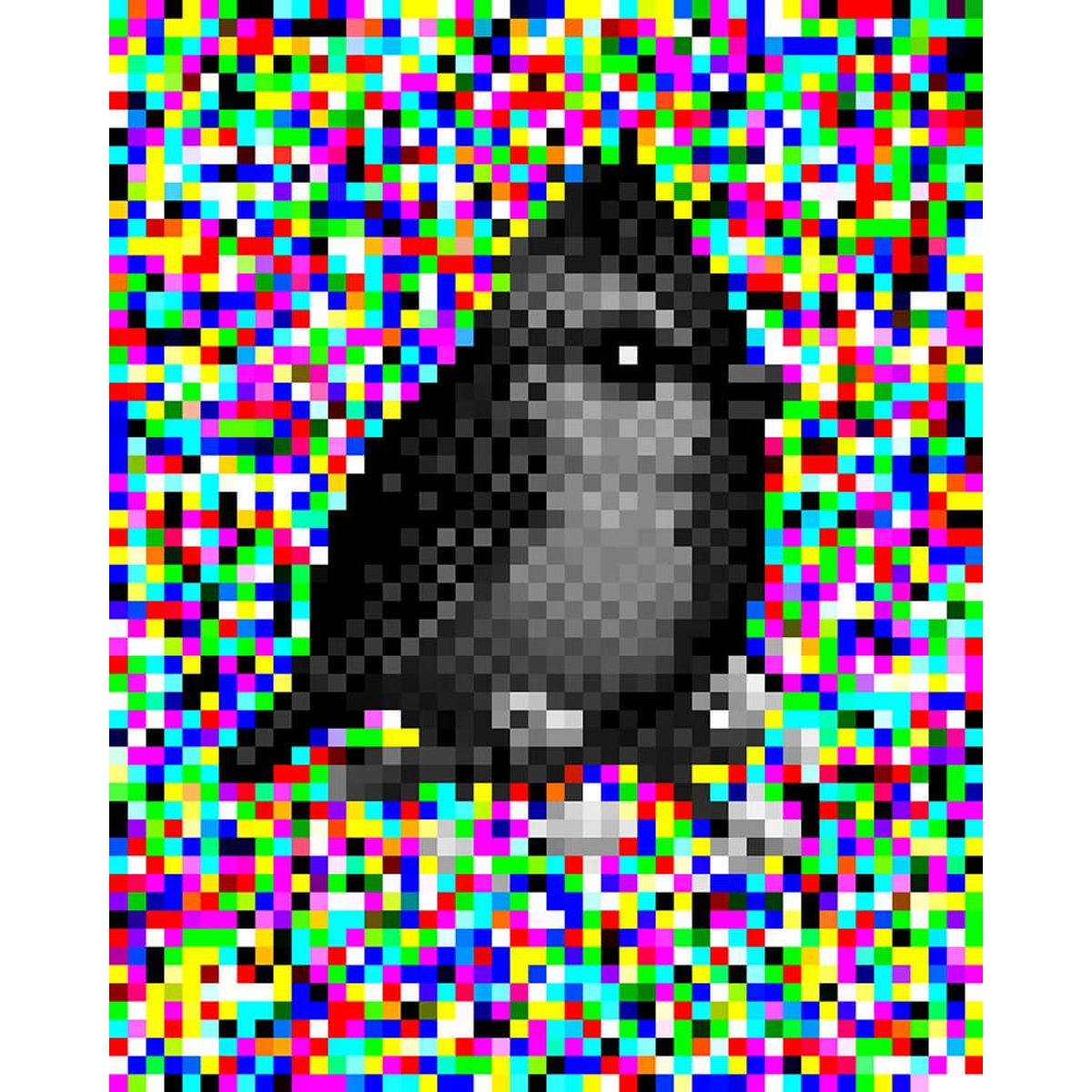 Himalayan Black-Lored Tit (Mystery 16-Bit)