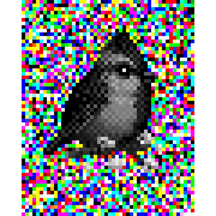 Himalayan Black-Lored Tit (Mystery 16-Bit) by Mike Mitchell