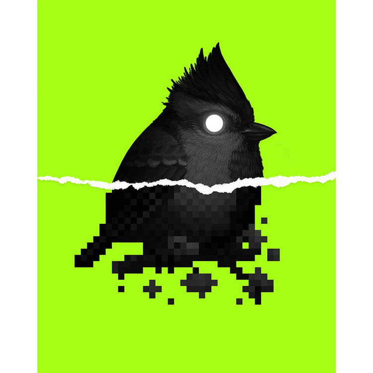 Himalayan Black-Lored Tit (Mystery 16-Bit) by Mike Mitchell