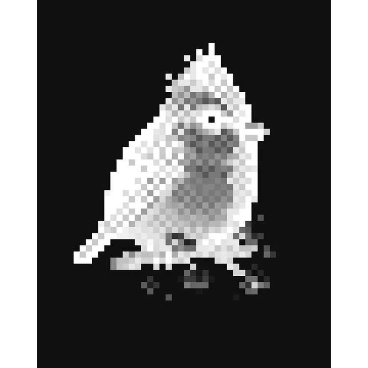Himalayan Black-Lored Tit (Mystery 16-Bit) by Mike Mitchell