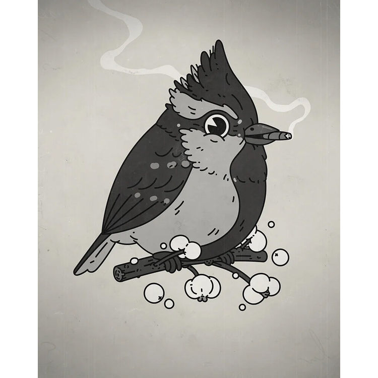 Himalayan Black-Lored Tit (Saturday Morning Variant) B&W by Mike Mitchell