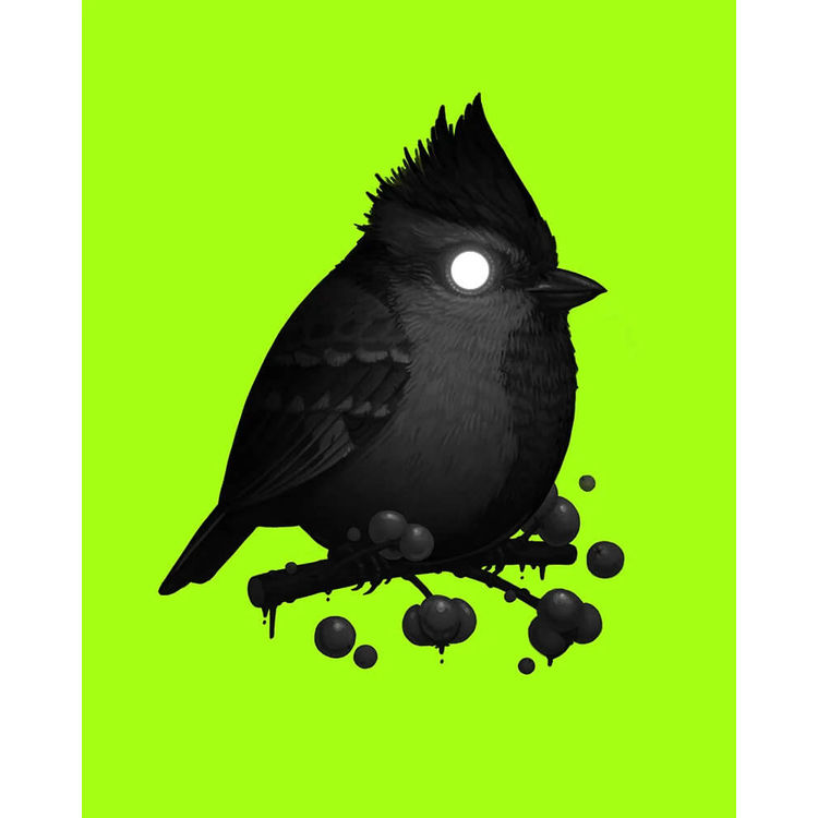Himalayan Black-Lored Tit (Void Variant) by Mike Mitchell