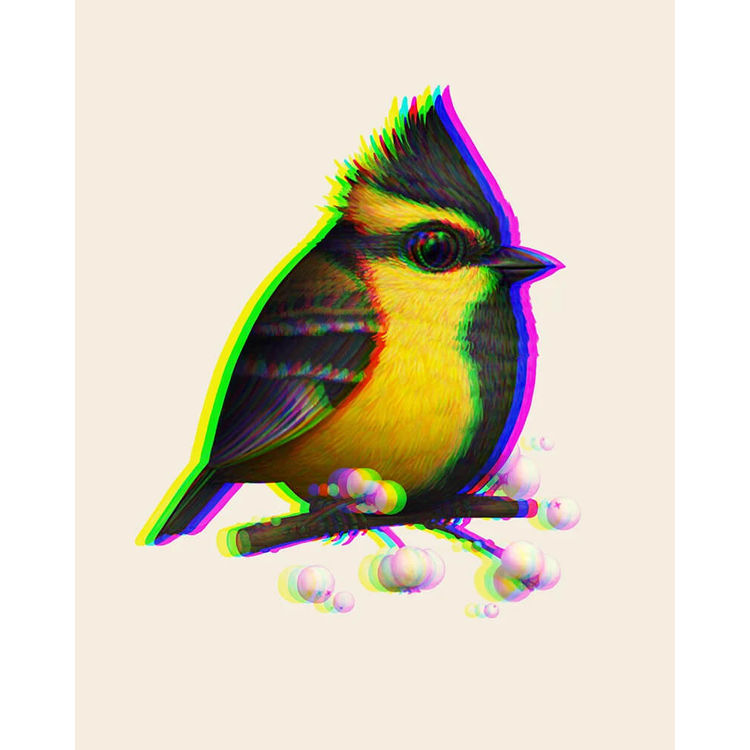 Himalayan Black-Lored Tit Printing Error Variant by Mike Mitchell