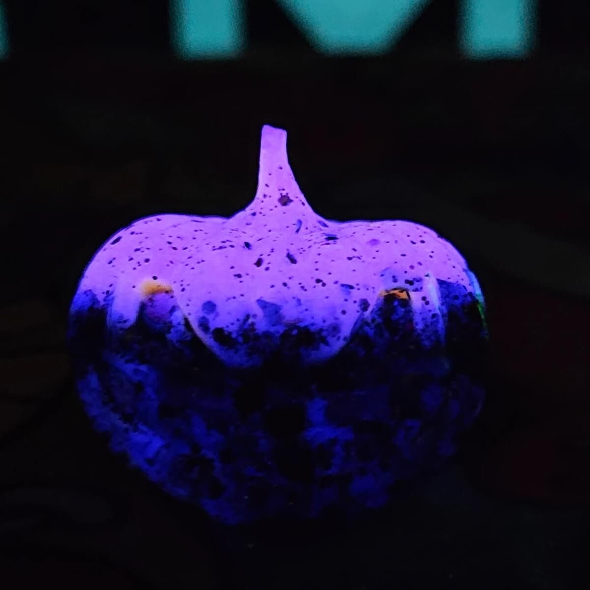Hocus Pocus Icky