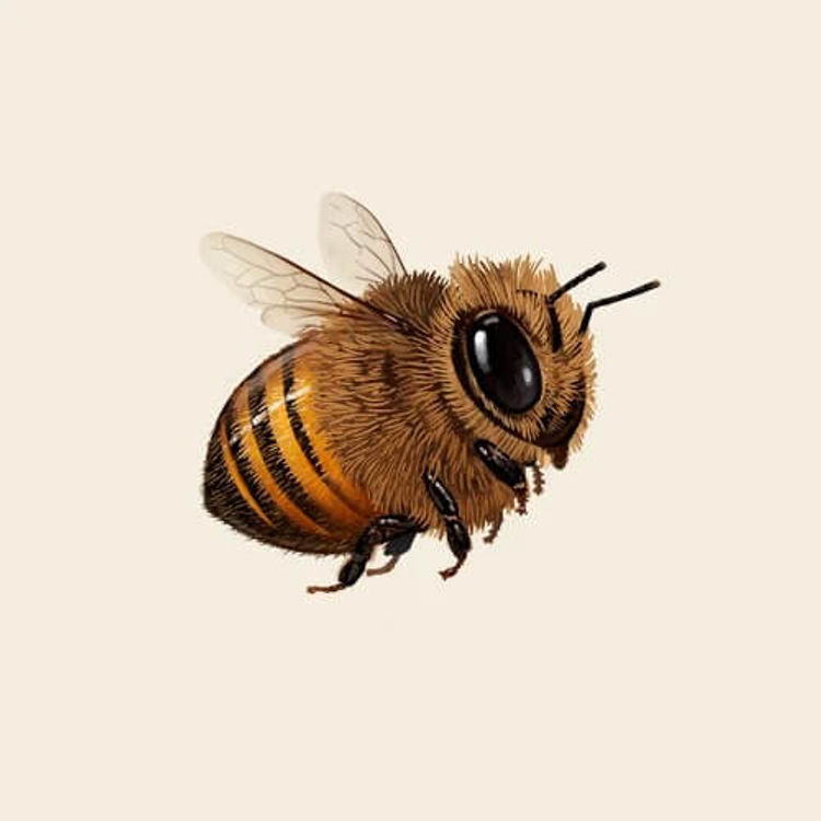 Honey Bee by Mike Mitchell