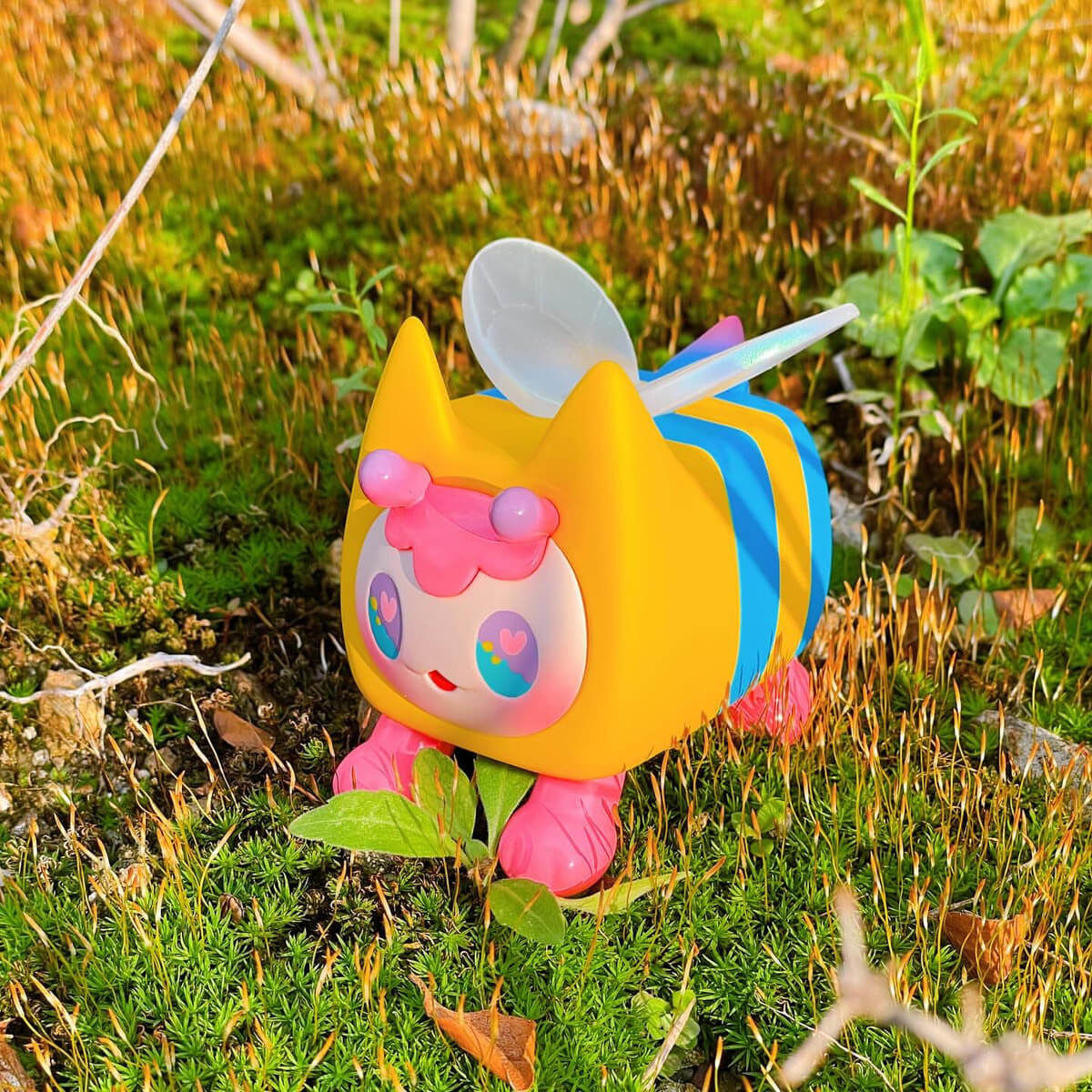 Honey Cat