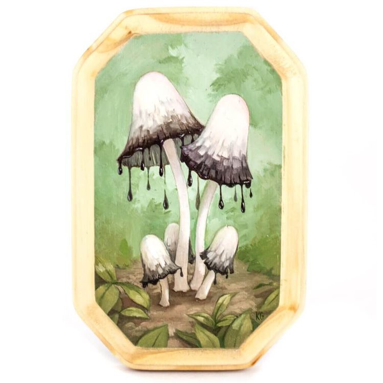 Ink Cap Mushrooms by Katie Gamb