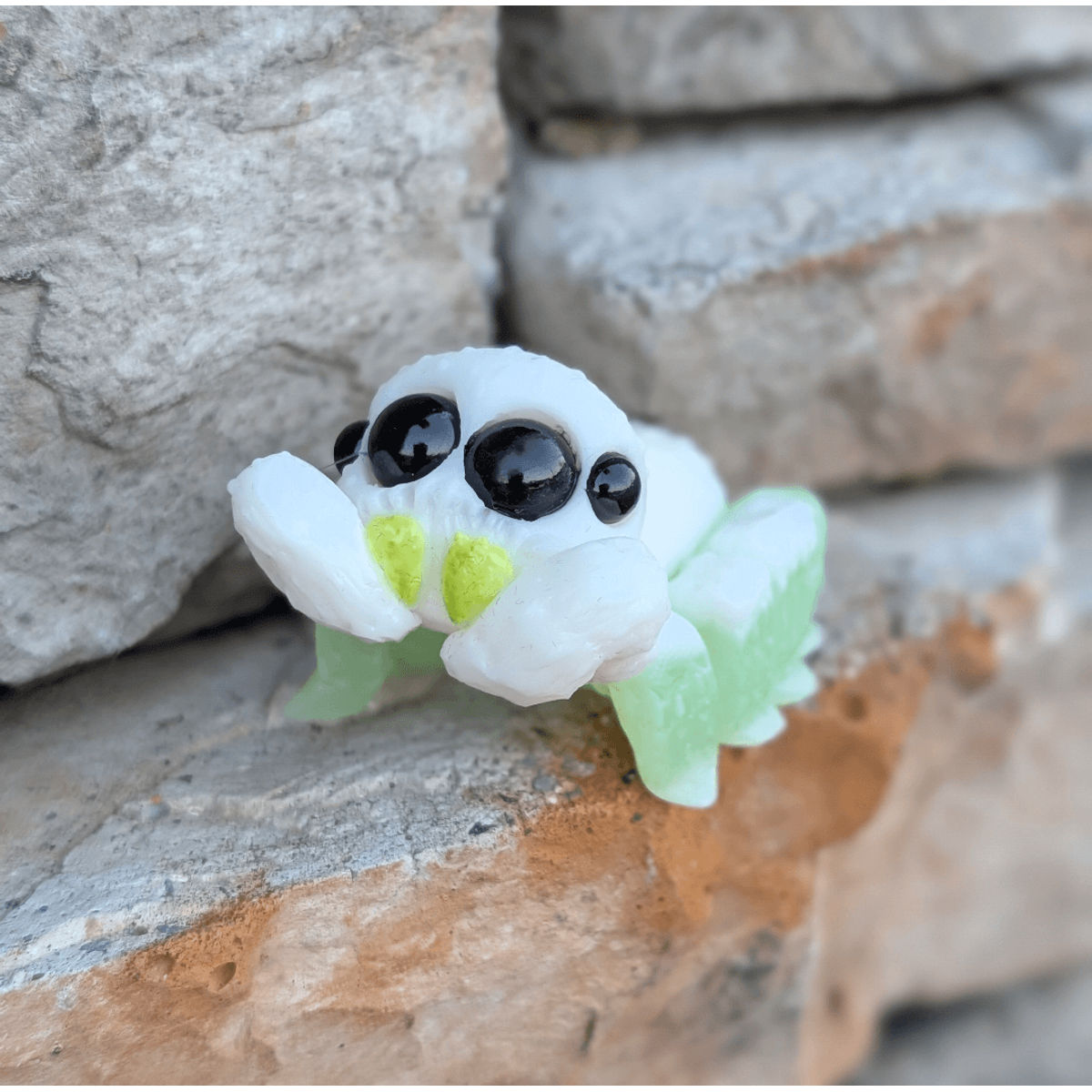 Keylime Swirl Speeeider