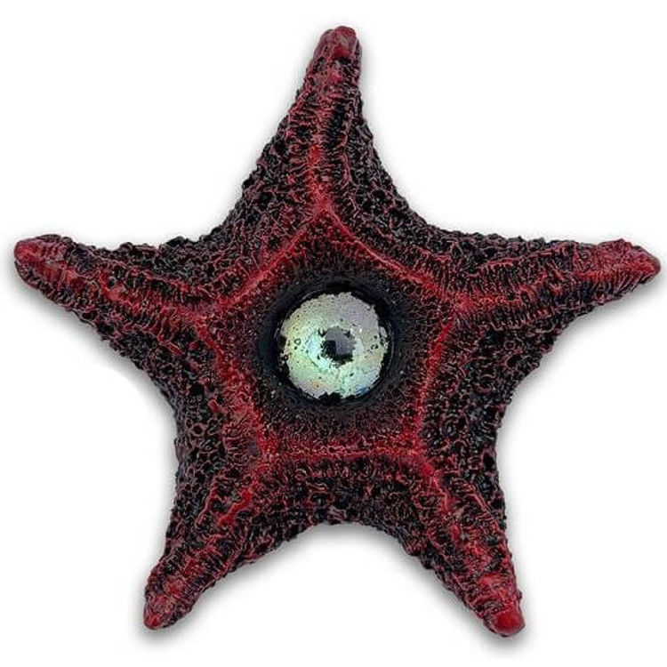 Lacquer Starboy by N.C. Winters