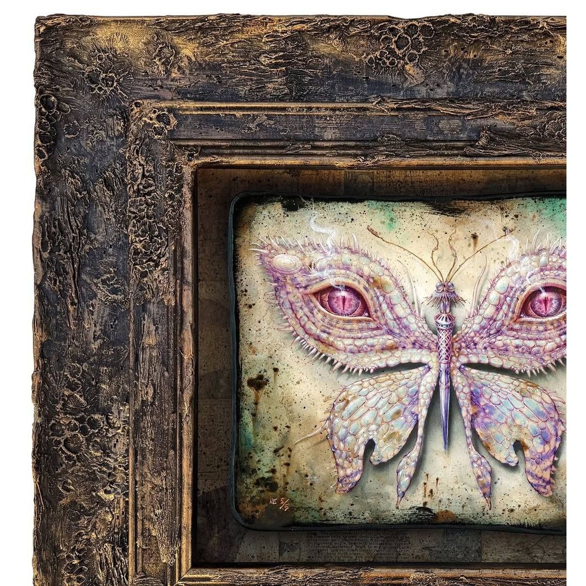 Lepidoptera 16 : Reptile Albino