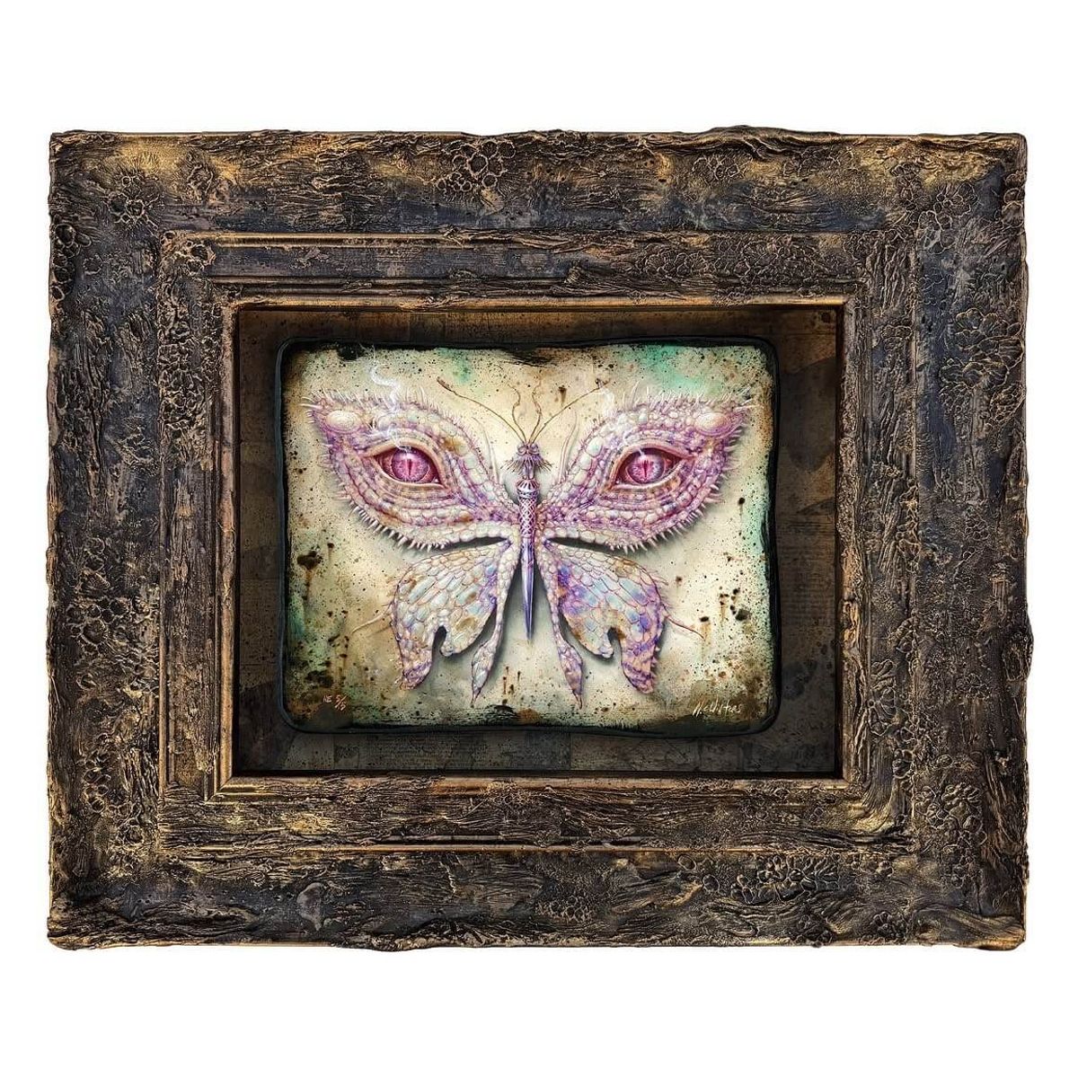 Lepidoptera 16 : Reptile Albino