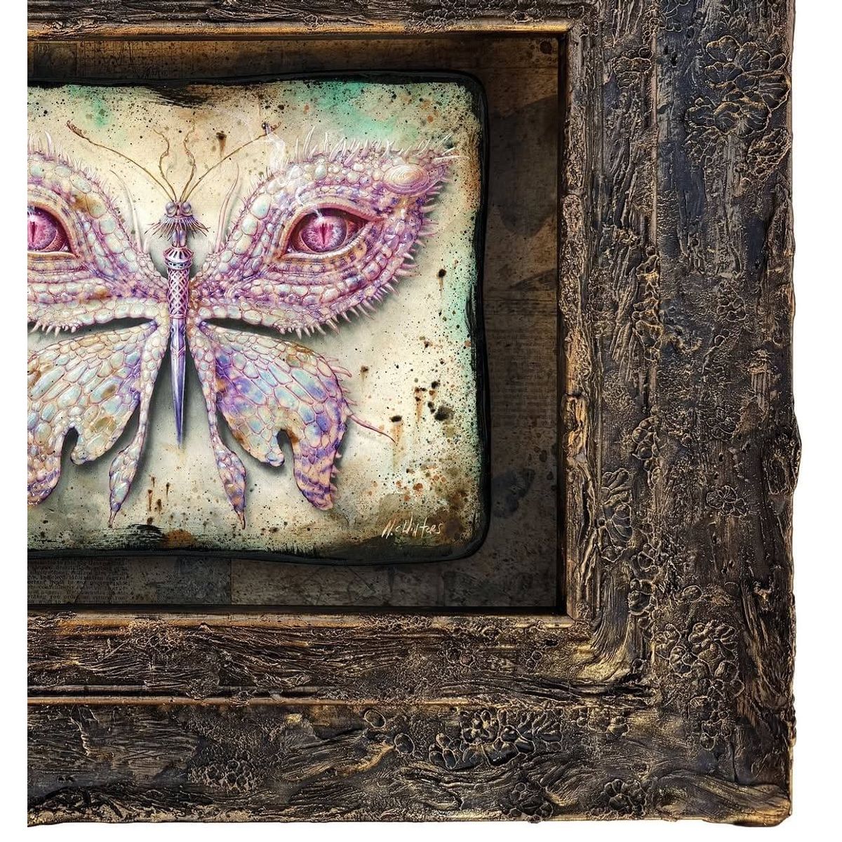 Lepidoptera 16 : Reptile Albino