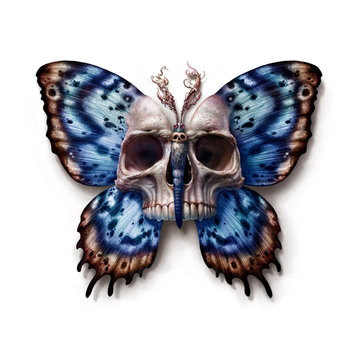 Lepidoptera  XX Muerte