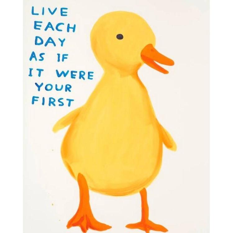Live Each Day As If It Were Your First by David Shrigley