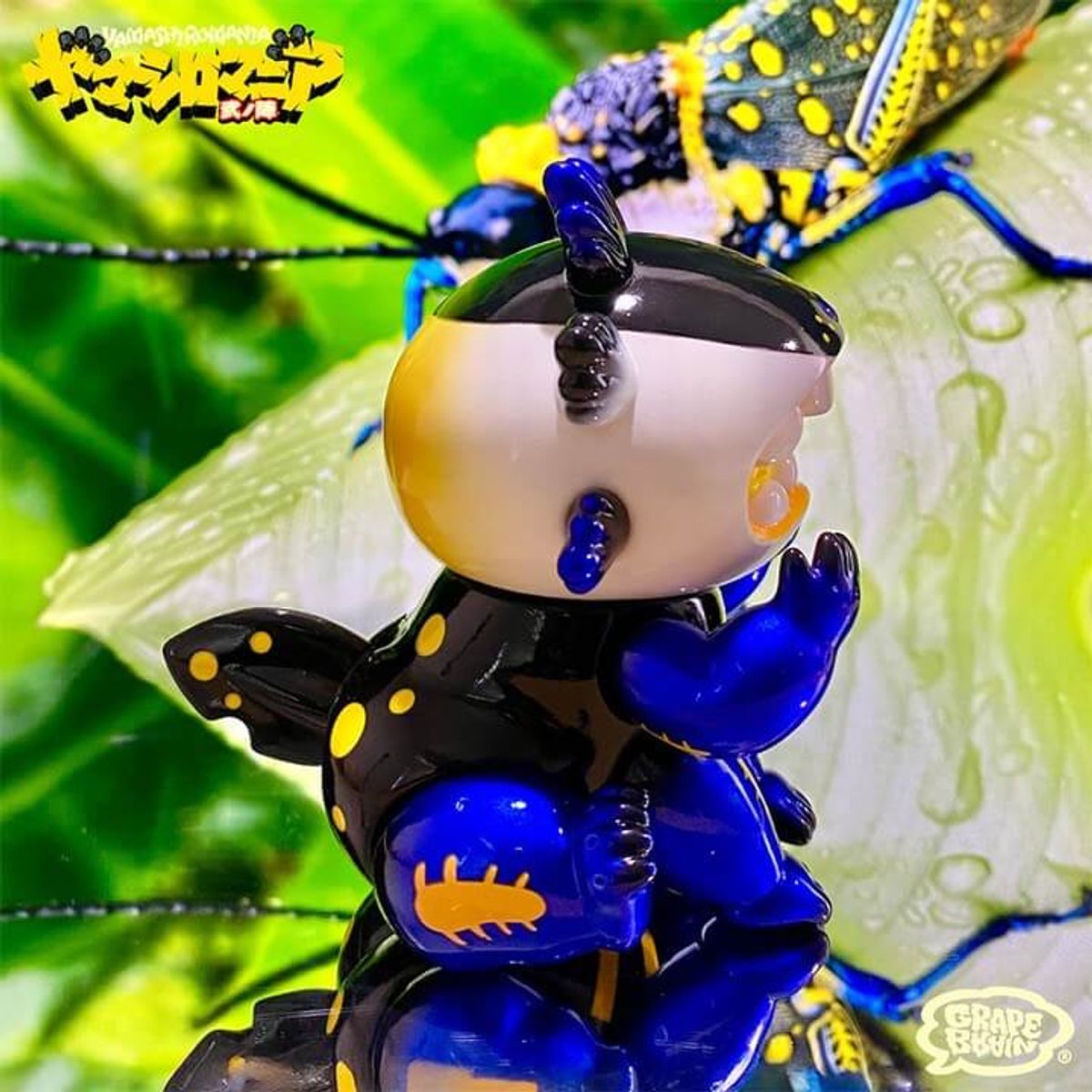 Macaroni Baby Poisonous Grasshopper