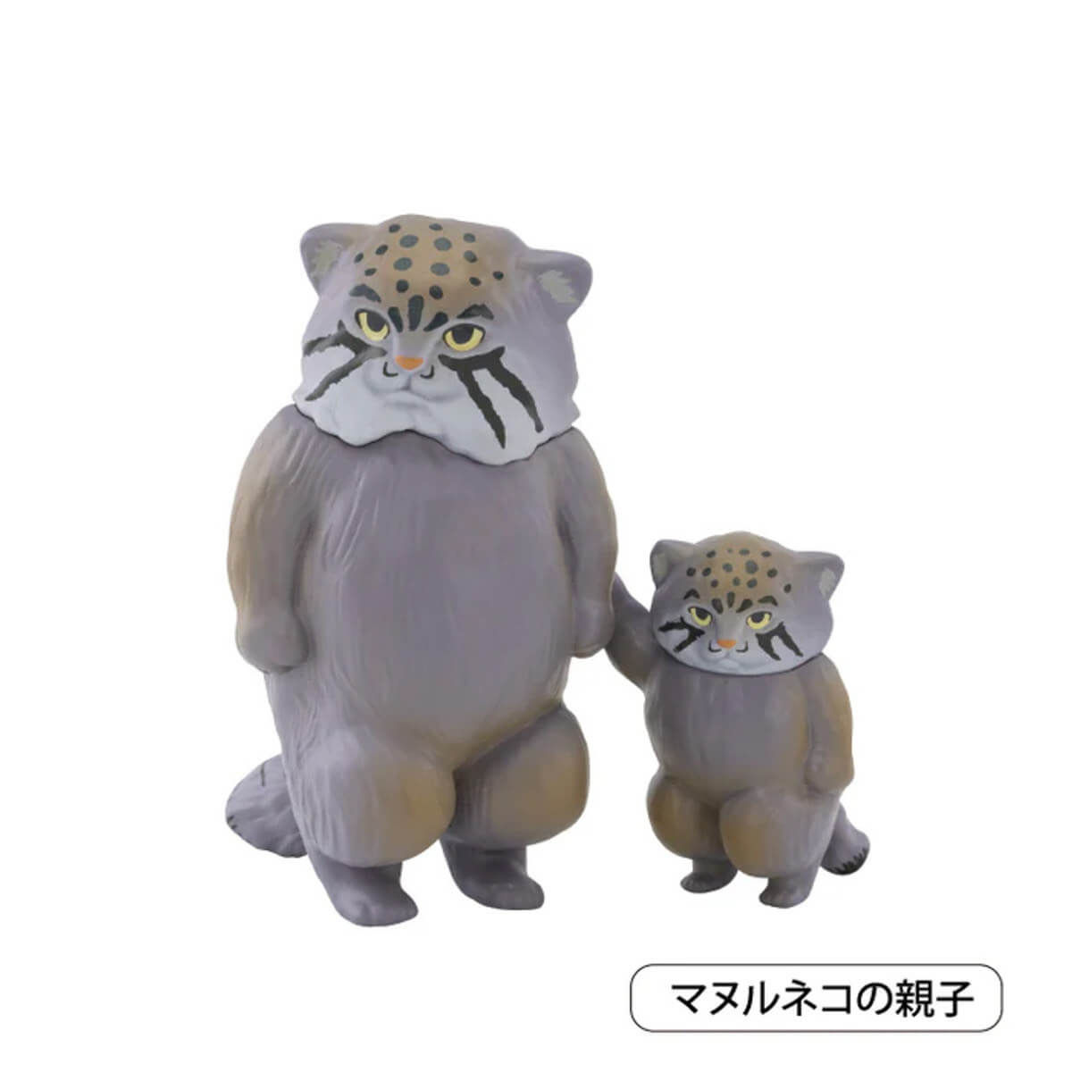 Manul Cat Parent and Child