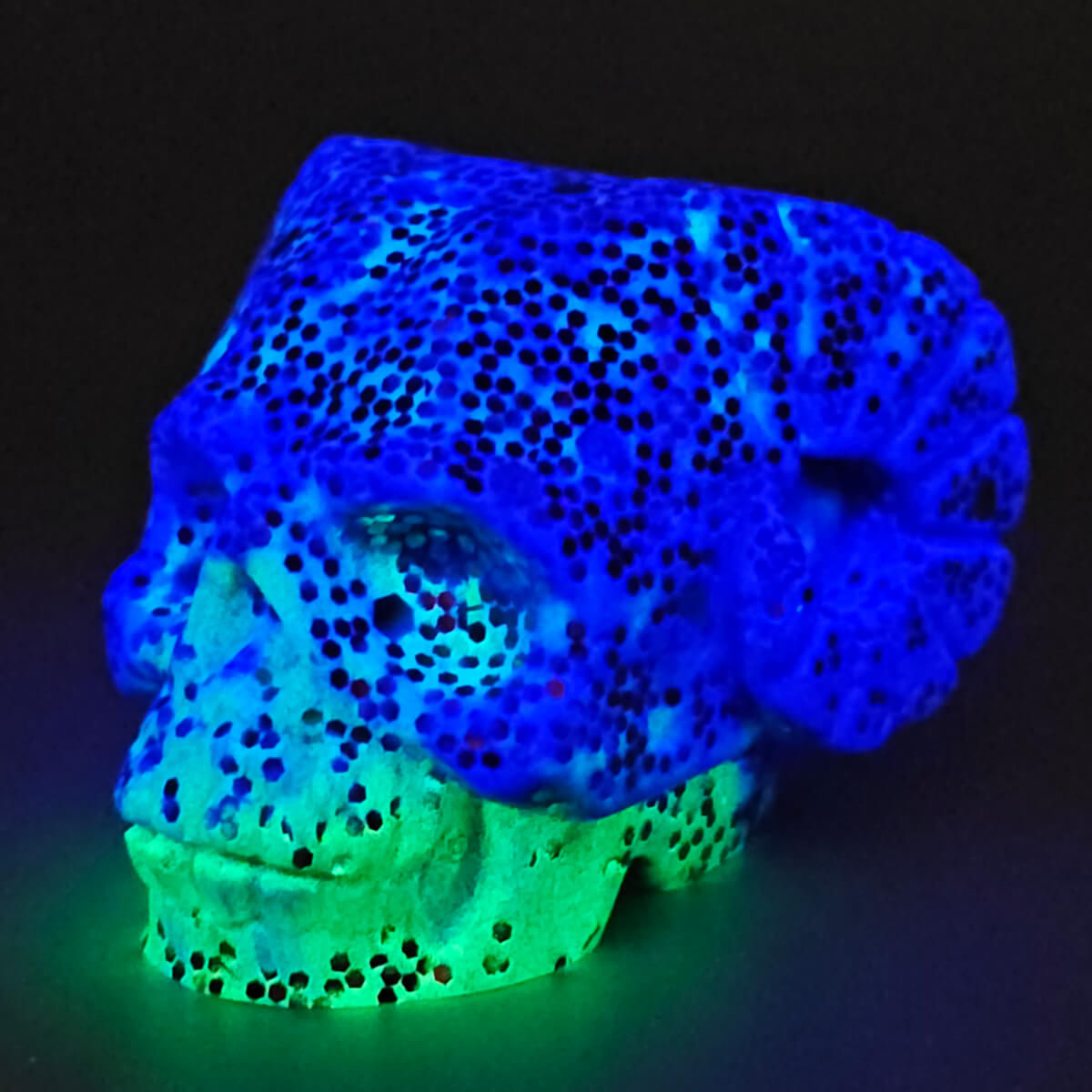 Mardi Gras - Horned Skull