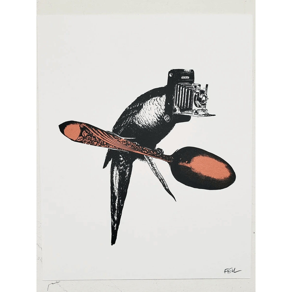 Mechanisms of Orins 8x10 Print