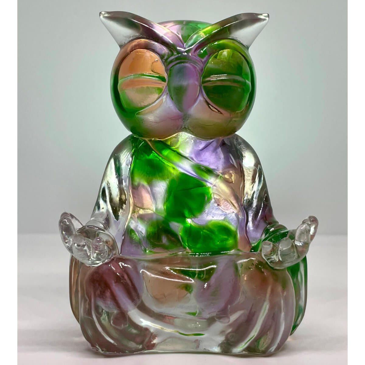 Meditating Wyze Full of Micros