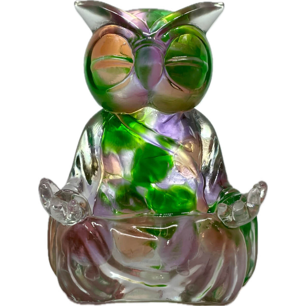 Meditating Wyze Full of Micros