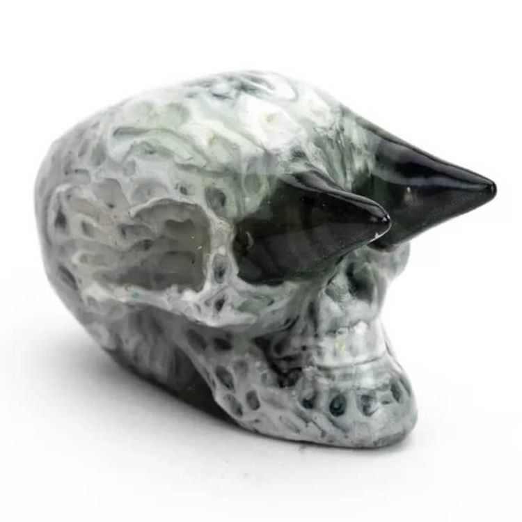 Midnight Penetrator Skull Black by American Gross (Josh Kimberg)