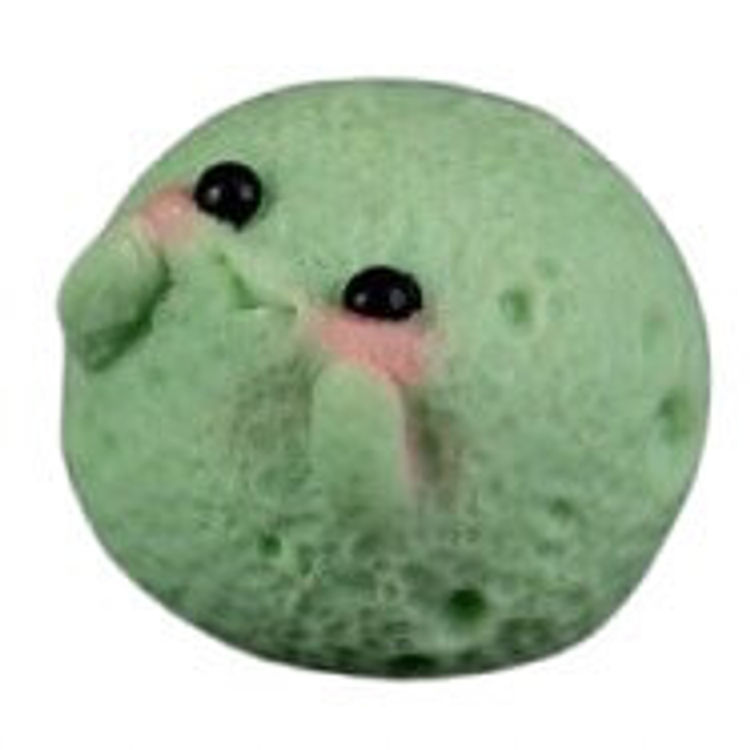 Mint Full Moom by Seed Arts