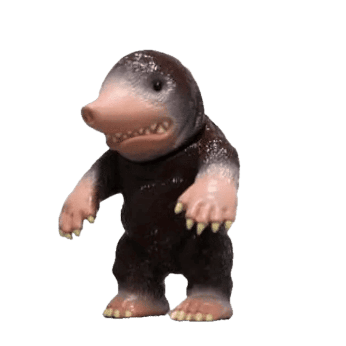 Mogudon ( モグドン ) dark brown