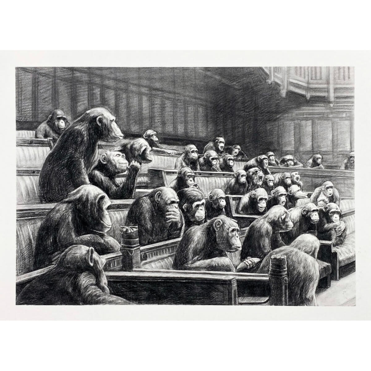 Monkey Parliament II