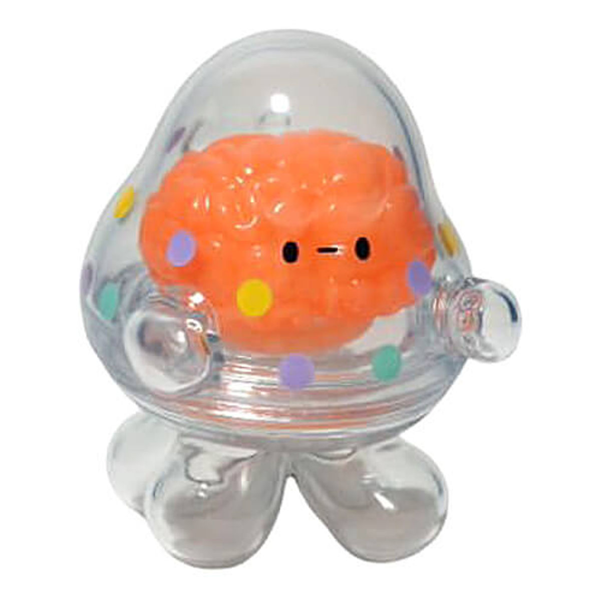 Mr. Brain Summer Party