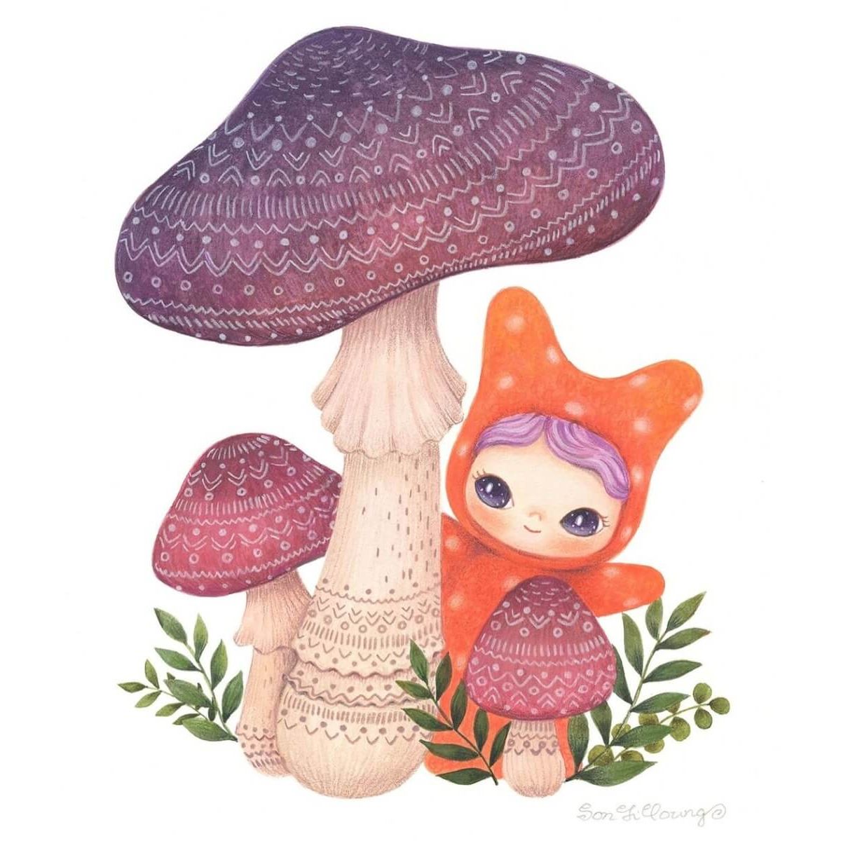 Mushroom Collector