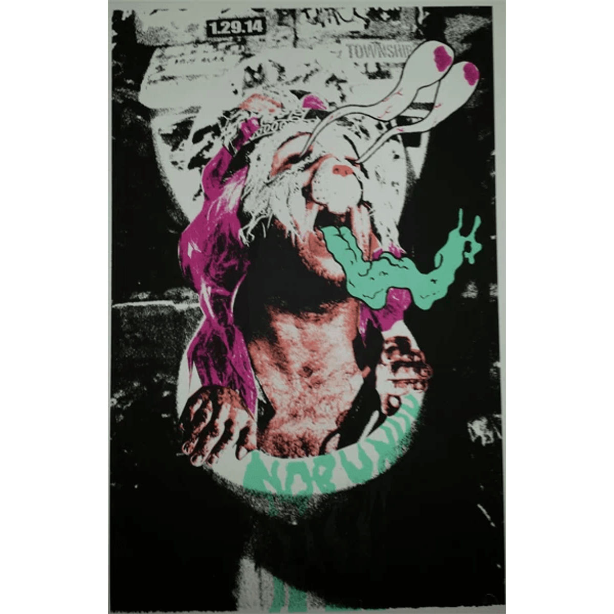 Nobunny @ Township 2014