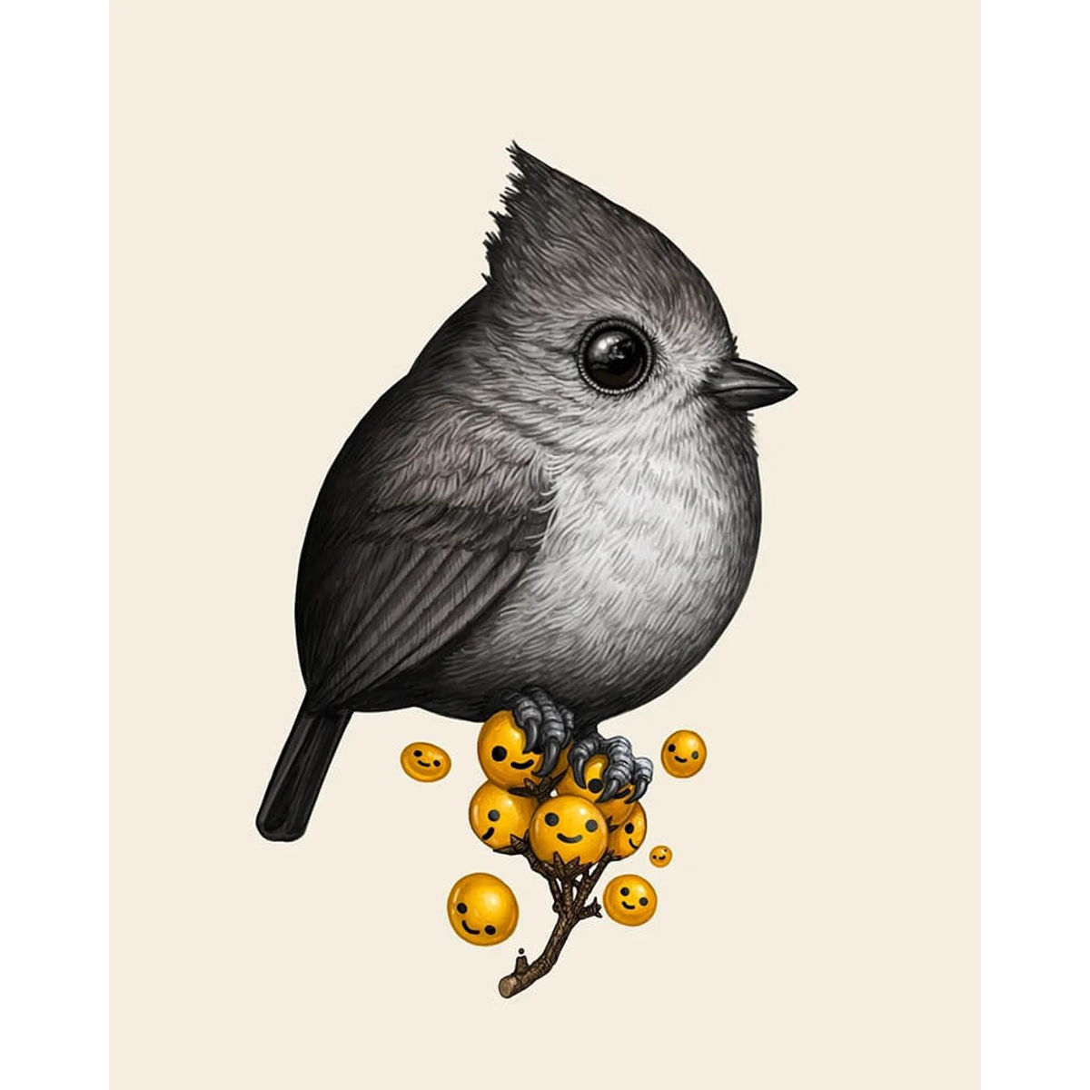 Oak Titmouse