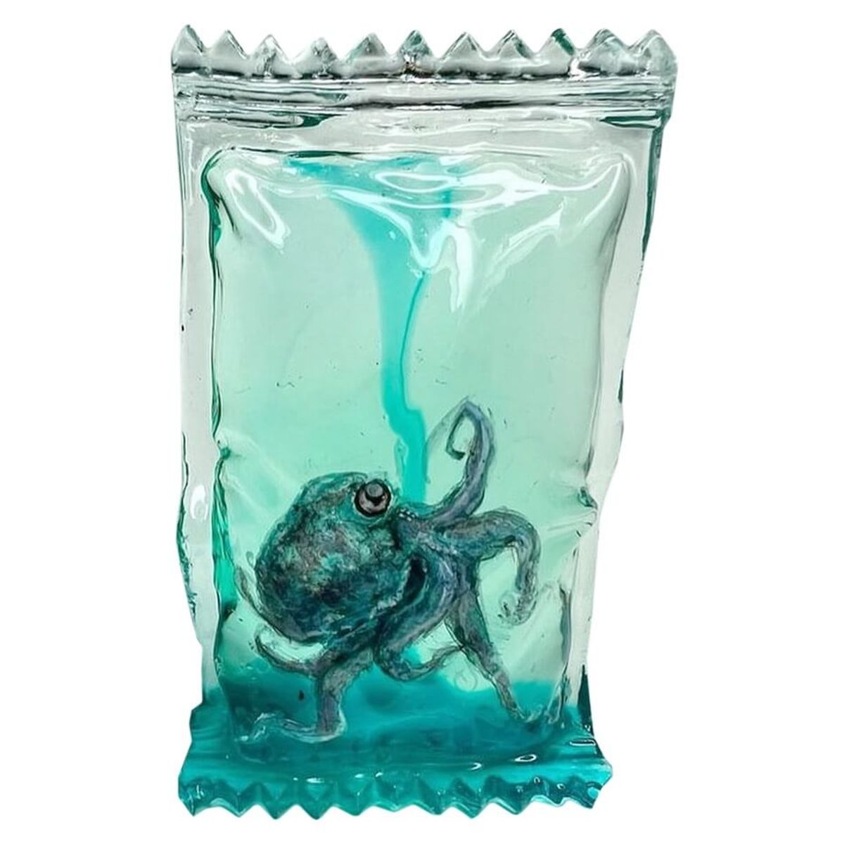 Octopus Saucepacket