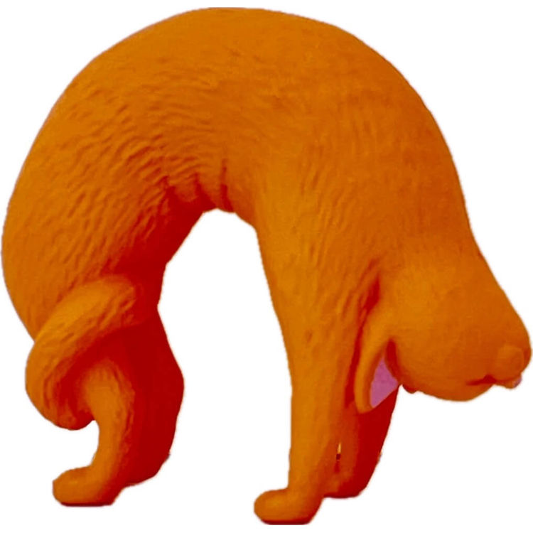 Orange Yoga Cat by Yell World