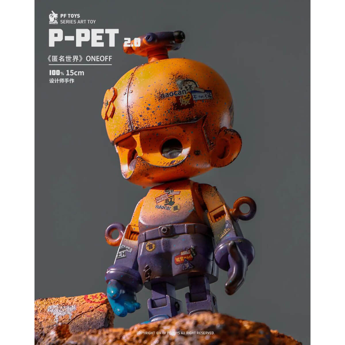 P-PET Anonymous World