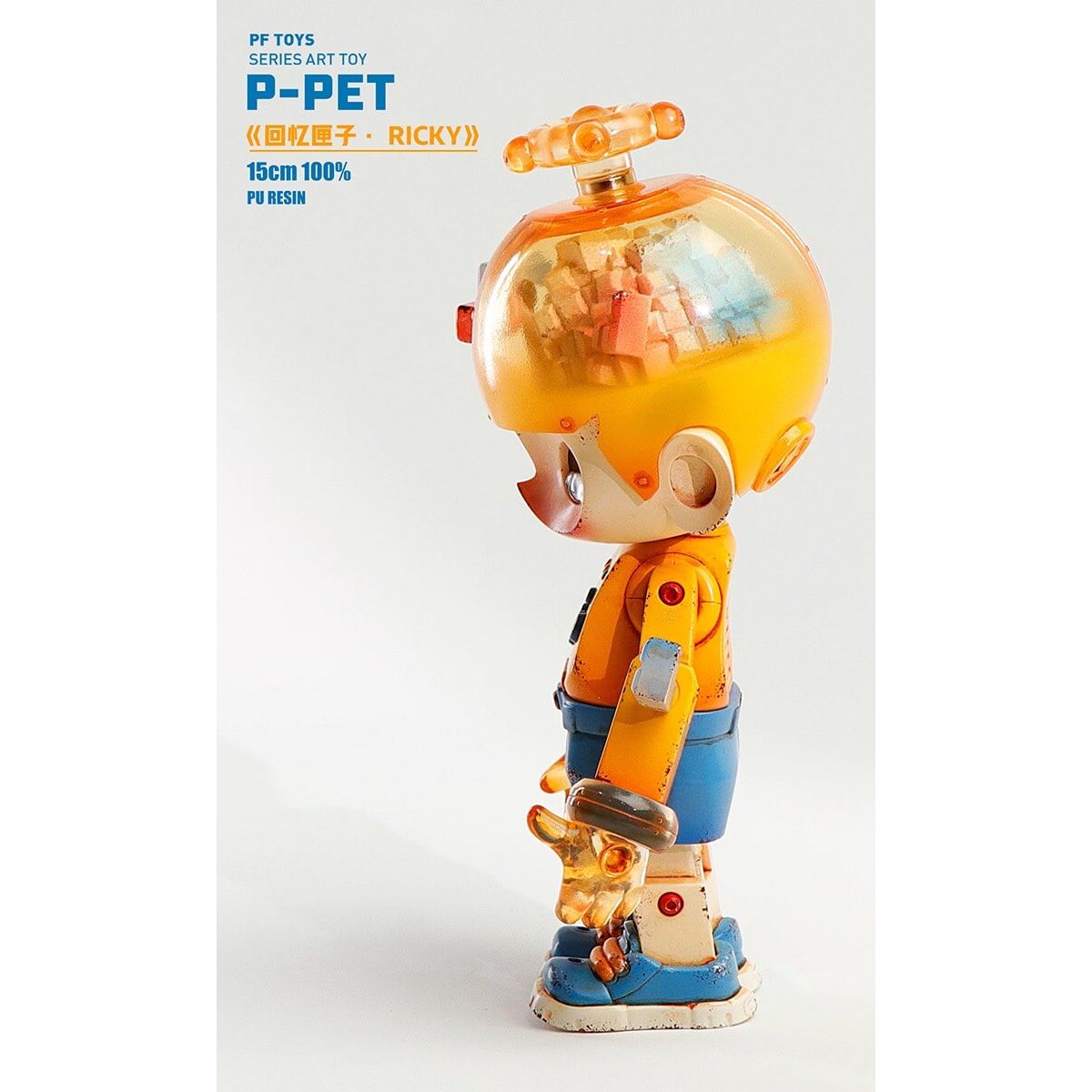 P-PET Memory Box Ricky