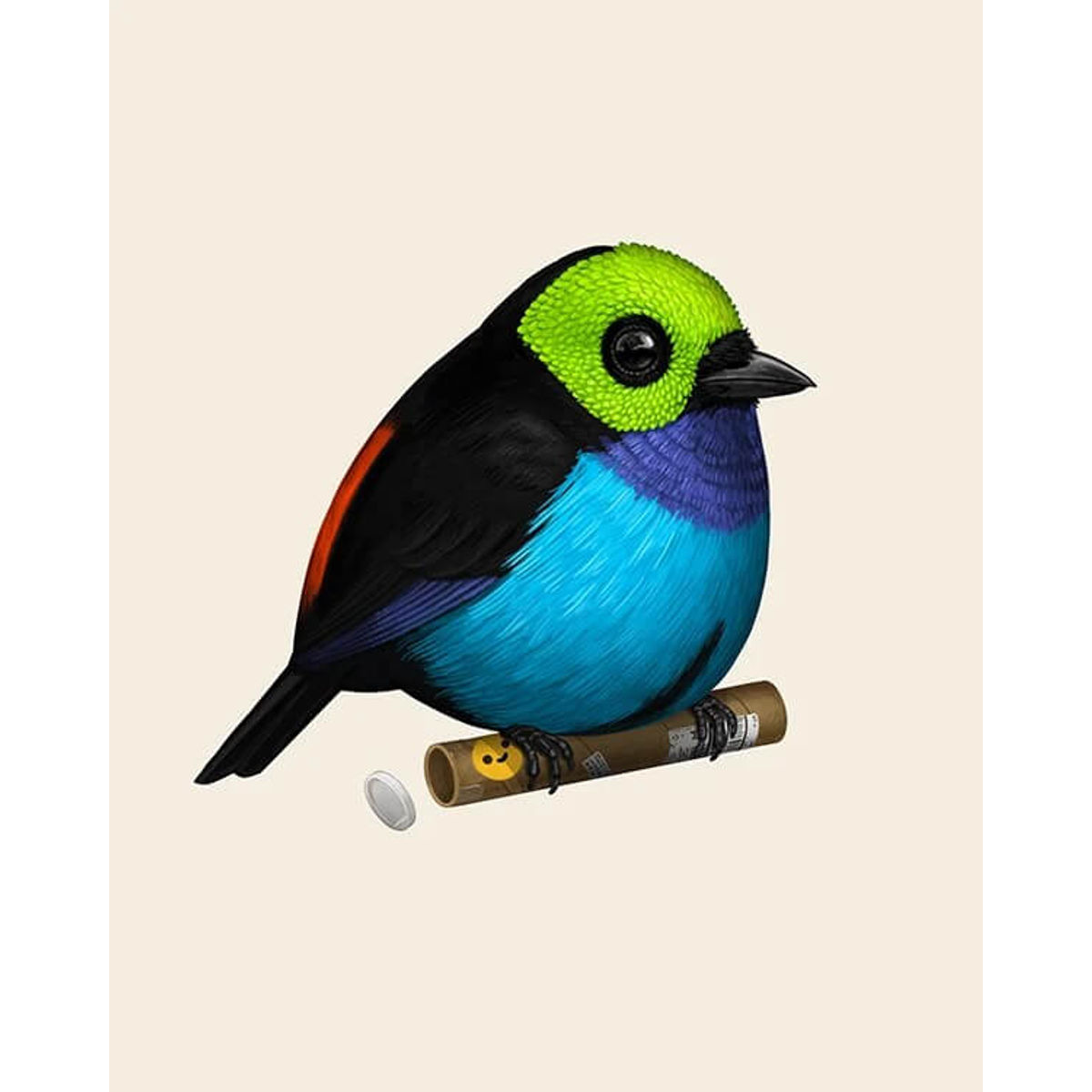 Paradise Tanager
