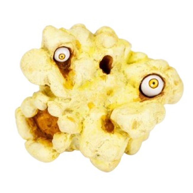 Petrified Popcorn by Pickled Circus (Matthew Roby)
