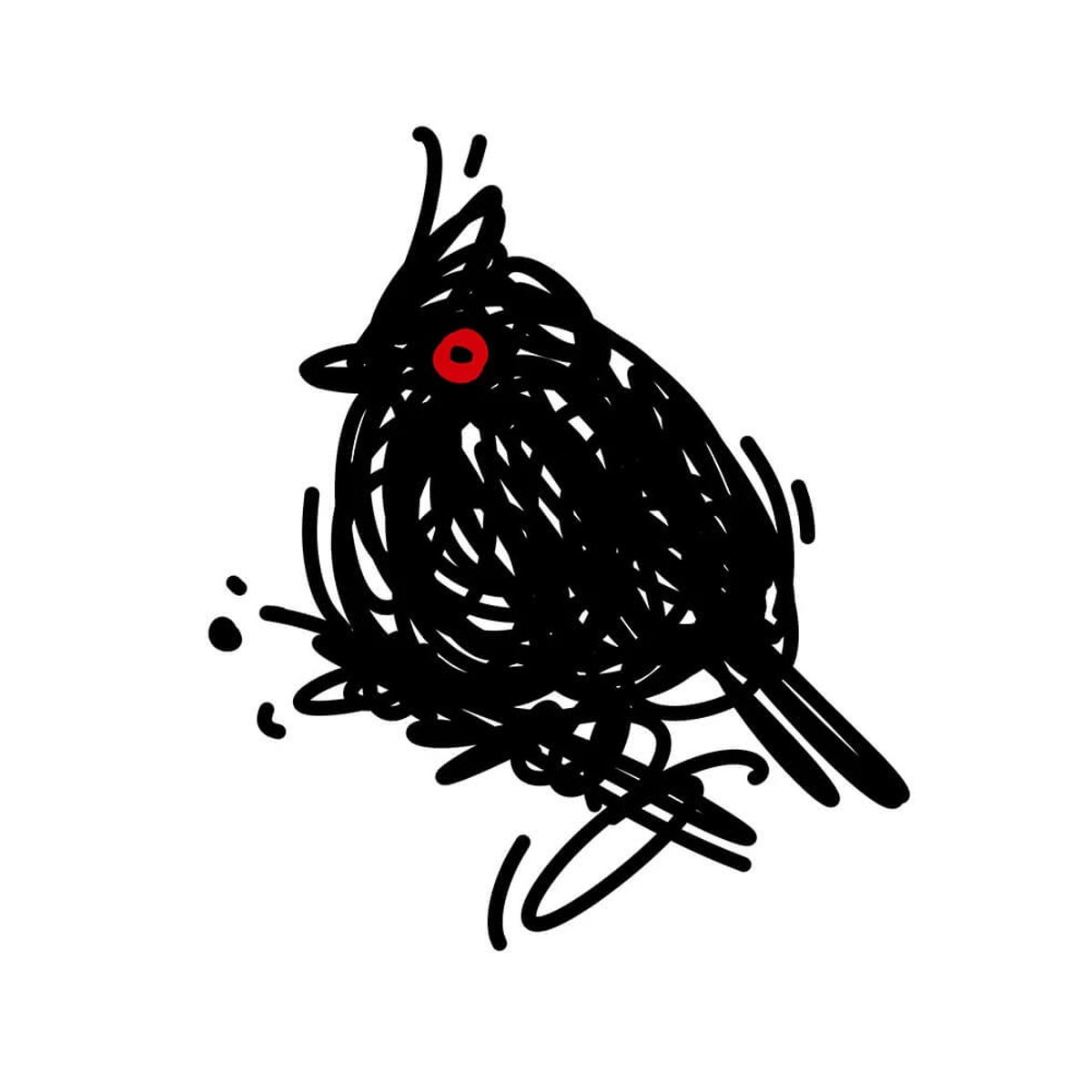 Phainopepla (Scribbird Variant)