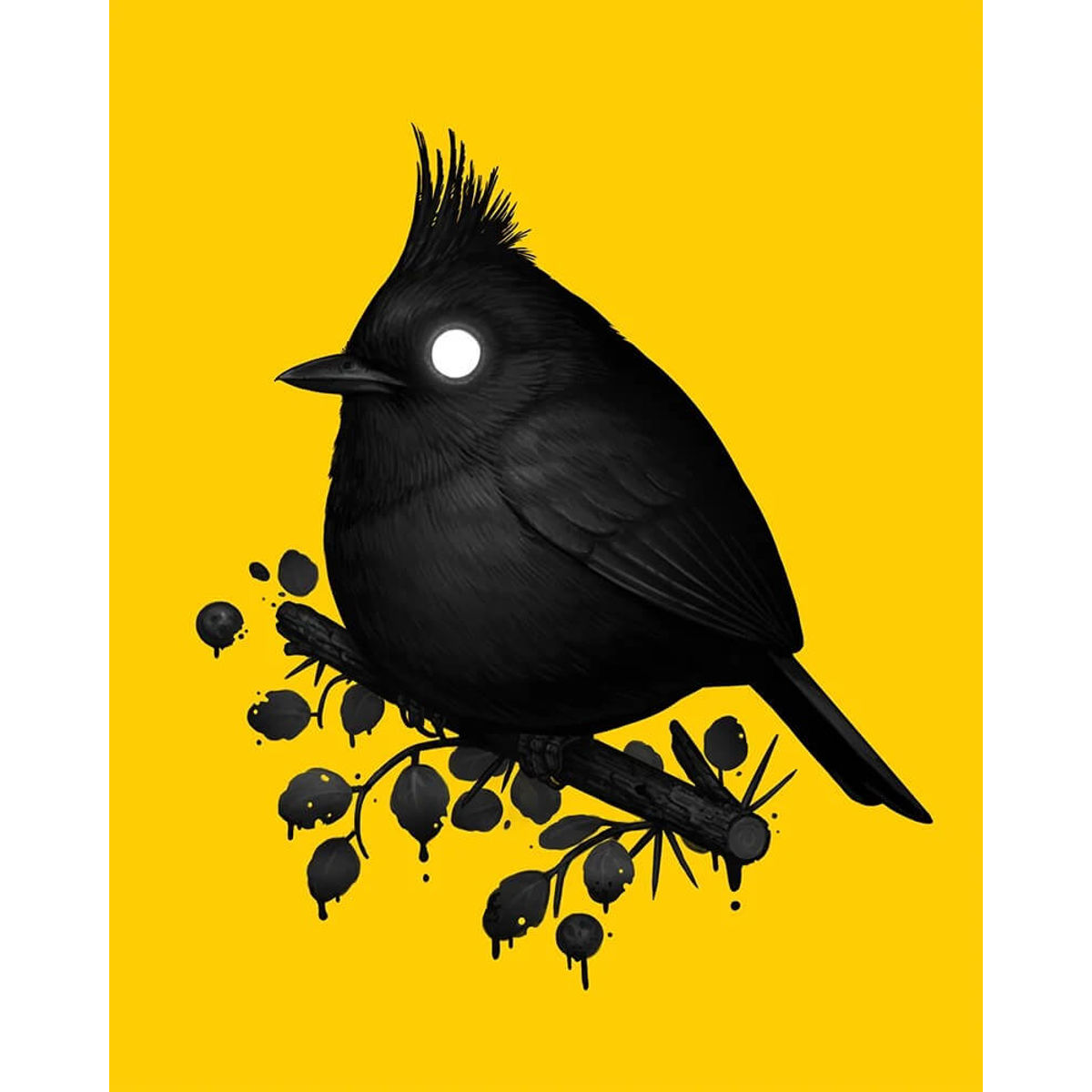 Phainopepla (Variant)